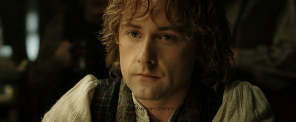 peregrin touque pippin